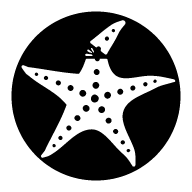 Starfish icon